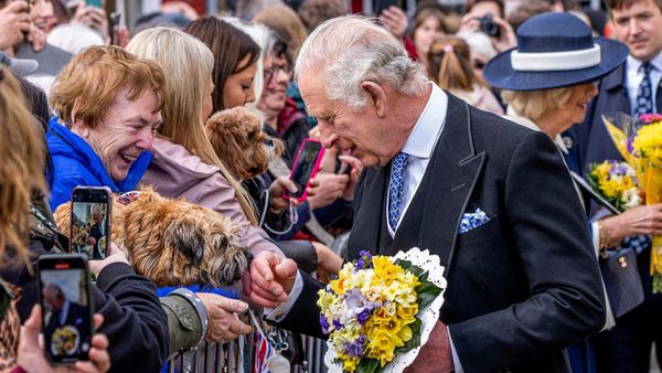 किंग चार्ल्स के राजतिलक से पहले ब्रिटेन में बवाल, बकिंघम पैलेस में लगा लॉकडाउन, हथियार के साथ संदिग्ध गिरफ्तार