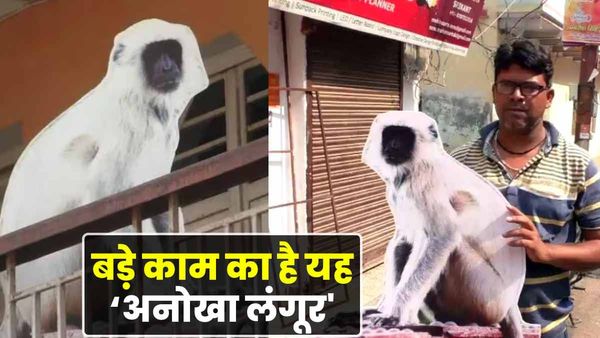 Varanasi: काशी में 700 रुपये में बिक रहे हैं अनोखे 'लंगूर', बंदरों से मिलेगी निजात