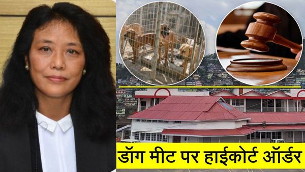 Dog Meat Nagaland की संस्कृति का हिस्सा, औषधीय गुण भी! महिला जस्टिस के आदेश में 102 साल पुरानी किताब का जिक्र