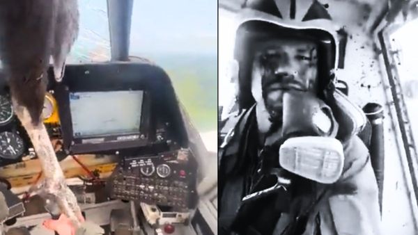 उड़ते विमान से टकराया पक्षी तो खून से लथपथ हुआ पायलट, हैरान करने वाला वीडियो VIRAL