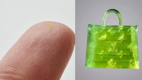 51 लाख रुपये में बिका नमक के दाने से भी छोटा हैंडबैग, लोग बोले- 'ये इस्तेमाल कैसे होगा?'