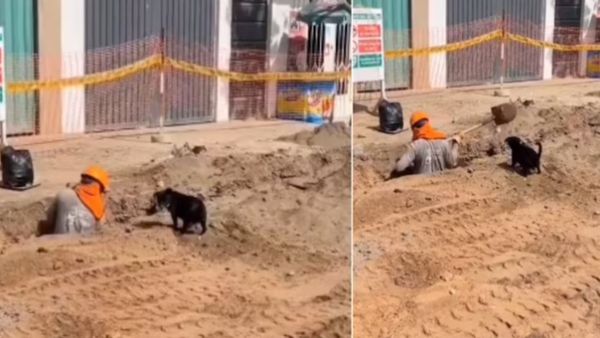 पसीना बहा रहे मजदूर की मदद करता दिखा Puppy, वीडियो देखकर उमड़ जाएगा प्यार