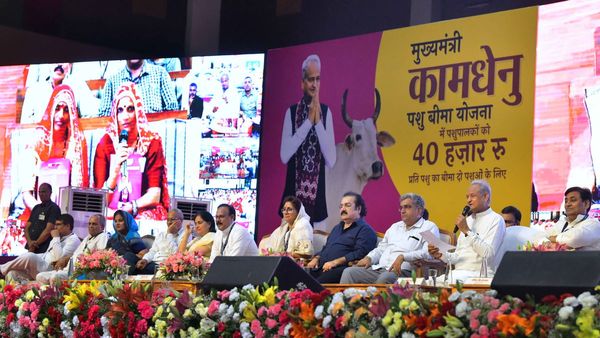 Rajasthan News: सीएम गहलोत ने पशुपालकों के खातों में डीबीटी से भेजे 175 करोड़ रुपए, जानिए क्या बोले मुख्यमंत्री