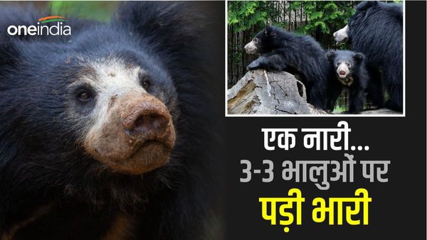 मौत बनकर पहुंचे तीन भालू...एक कुल्हाड़ी लेकर तीनों से भिड़ी और पति-भाई को बचा लाई 'दिलेर सबीना'