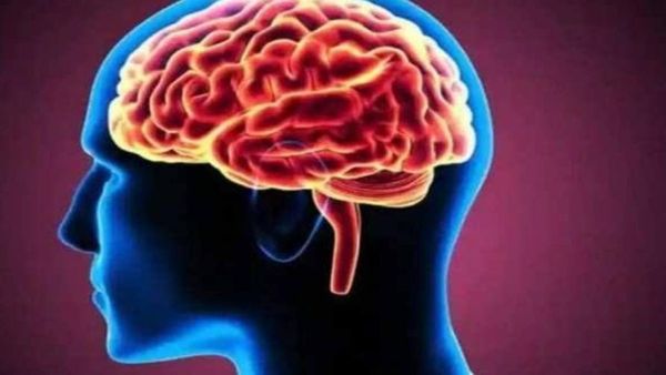 6 साल में तैयार हुआ ब्रेन मैपिंग स्पेशल सॉफ्टवेयर, किस फील्ड में सफल होगा बच्चा 20 मिनट में लग जाएगा पता