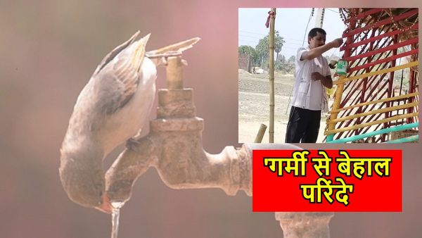 Bihar Weather: भीषण गर्मी में परिंदों के लिए ग्रामीण चला रहे मुहिम, पहल की हो रही तारीफ़