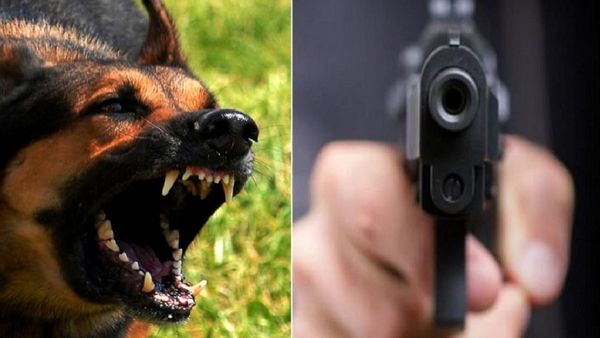 Rewa News: युवक बना जल्लाद, पालतू कुत्ते के भौंकने पर युवक ने कर दिया कांड, सुनकर कांप जाएगी रूह