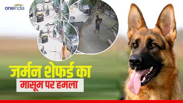 VIDEO:मासूम पर जर्मन शेफर्ड का हमला, घर के पास गली में खेल रही थी बच्ची