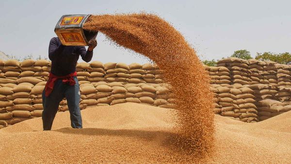 केंद्र ने रिजर्व खाद्यान्न पर बोली लगाने से राज्यों को रोका, इस वजह से लिया गया फैसला
