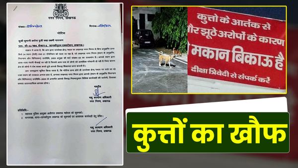 UP: पड़ोसी के 45 कुत्तों ने उड़ा रखी है नींद, परेशान शख्स ने अपने घर पर लगा दिया 'मकान बिकाऊ है' का बोर्ड!