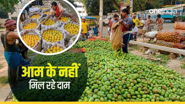 मालदा में किसानों के लिए क्यों बेकार गई आम की बंपर पैदावार? अब सरकार से लगा रहे हैं यह गुहार