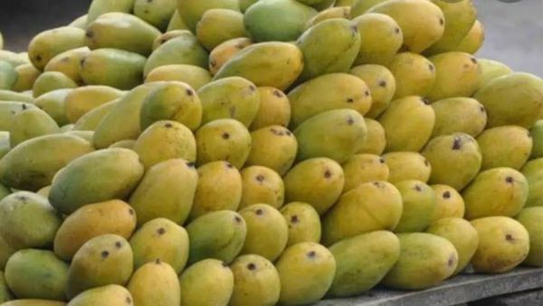 Ghaziabad: लंगड़ा आम की खुशबू से डोला बदमाशों का मन, मजदूरों को बनाया बंधक और लूट ले गए 95 पेटियां