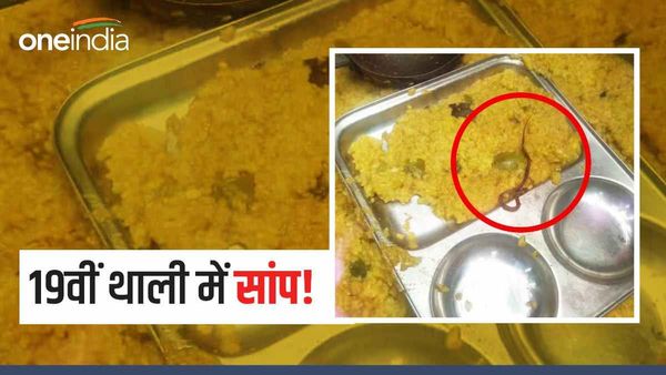 थाली में सांप! बिहार में MDM योजना को लेकर बड़ी साजिश, पति के साथ मेहरून निशा का षड्यंत्र, जानिए वजह