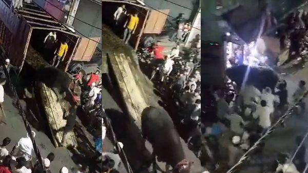 Moradabad: कुर्बानी के लिए ट्रक में भैंसा लेकर आया था मुस्लिम परिवार, भीड़ को देखते ही बेकाबू हुआ और फिर...