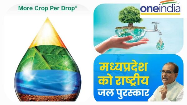 MP: 'कैच द रेन' और 'पर ड्रॉप मोर क्रॉप' अभियान, जानिए मप्र देश में कैसे बना 'पानीदार'