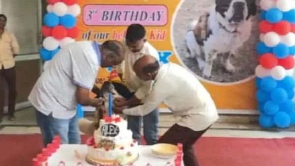 UP: वीआईपी शादी की तरह रहा मेन्यू, मेहमानों को मिला रिटर्न गिफ्ट, इस रोचक अंदाज में मना डॉग एलेक्स का बर्थडे