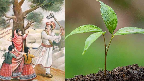 World Environment Day: जानिए अमृता देवी के बारे में , जिन्होंने पेड़ों की रक्षा के लिए 1730 में दिया था बलिदान