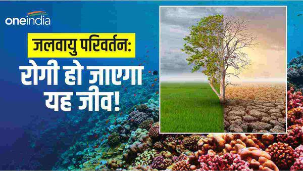 Climate change: बीमार हो जाएगी इस जीव की 76.8% आबादी, दुनिया भर में आएंगे चपेट में