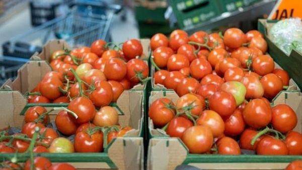 Tomato Price: महीनेभर पहले एक रुपये किलो बिका टमाटर, अब भाव आसमान पर 