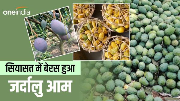 बिहार के राजनीतिक झगड़े में बेरस हुआ जर्दालु आम, राष्ट्रपति और प्रधानमंत्री को भी स्वाद से किया दूर
