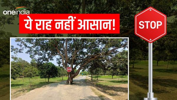 सड़क के बीचों बीच है खड़ा है विशाल पेड़, डर की वजह से रास्ता बदल लेते हैं ग्रामीण, हो सकती है अनहोनी