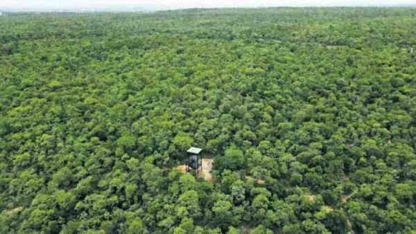 वन क्षेत्र बढ़ाने में नंबर वन बना तेलंगाना, सीएसई की रिपोर्ट ने लगाई मुहर