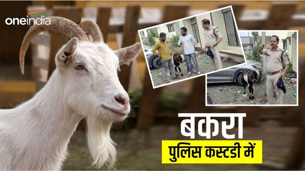 VIDEO: बकरीद में कुर्बानी से पहले पुलिस हिरासत में बेजुबान जानवर, एक बकरे के दो मालिक संजय और शाहरुख