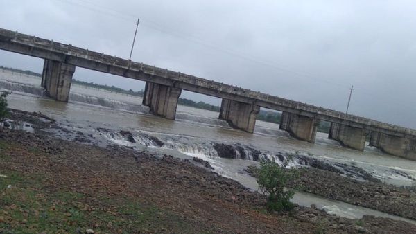 Sagar News: राजघाट बांध जून में ओवरफ्लो, 10 साल में पहली दफा दिखा नजारा