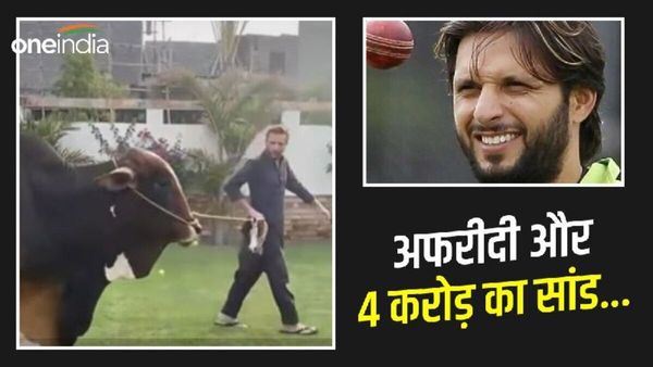 Shahid Afridi: 'देश मांग रहा है भीख और ये कर रहा है 4 करोड़ का सांड कुर्बान', अफरीदी पर भड़के लोग