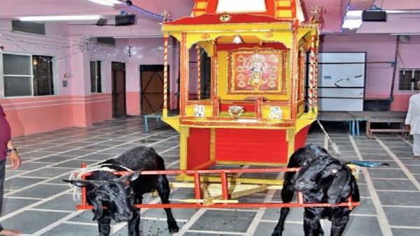 Unique Rath Yatra: बकरे खींचते हैं मरई माता का रथ, 1 क्विंटल नींबू से होगा उतारा