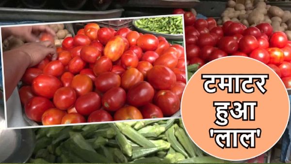 Tomato Price Hike: कीमत बढ़ते ही Blinkit से गायब हुआ टमाटर, जानें बाकी ऑनलाइन ग्रोसरी का हाल