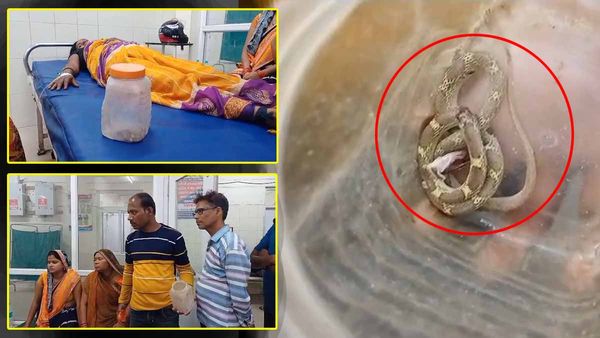 UP News: पत्नी को सांप ने काटा तो पति काे आया गुस्सा, सांप को पकड़ा और लेकर पहुंच गया अस्पताल, देखें Video