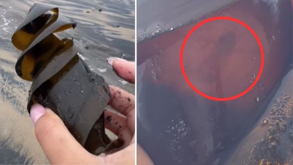 महिला के हाथ लगी शंख जैसी चीज, अंदर तैर रहा था 'छोटा सा बच्चा', VIDEO देखकर चकरा जाएगा सिर