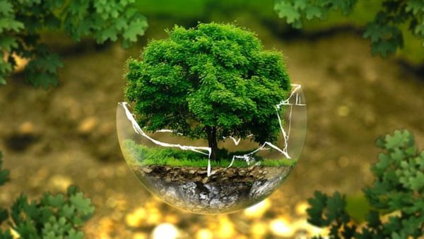 World Environment Day: प्लास्टिक में डूबता समुद्र और फूड वेस्ट से खतरे में भविष्य, ऐसे जोखिम में पड़ रही धरती