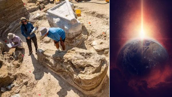 50 लाख साल पुराने कब्रिस्तान में मिले 'बड़े-बड़े पैर', क्या किसी रहस्य की ओर हैं संकेत?