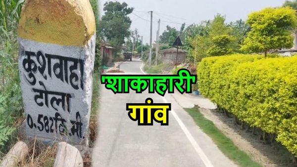 Village Of Bihar: इस गांव में किसी भी तरह का नशा करना जुर्म है, 'शाकाहारी गांव' के बारे में जानिए कुछ ख़ास