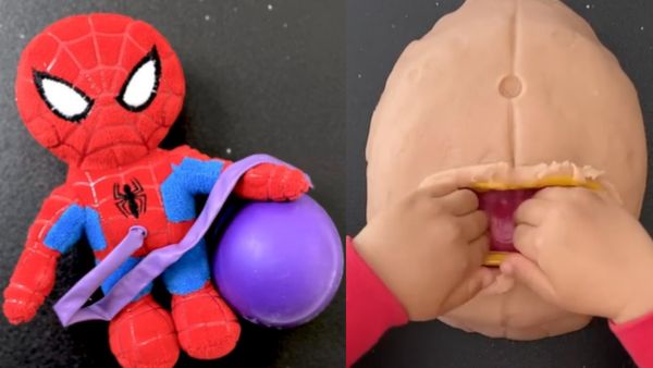 ...तो ऐसे पैदा होता है बच्चा, मां ने 4 साल के बच्चे को दी ट्रेनिंग, VIDEO VIRAL