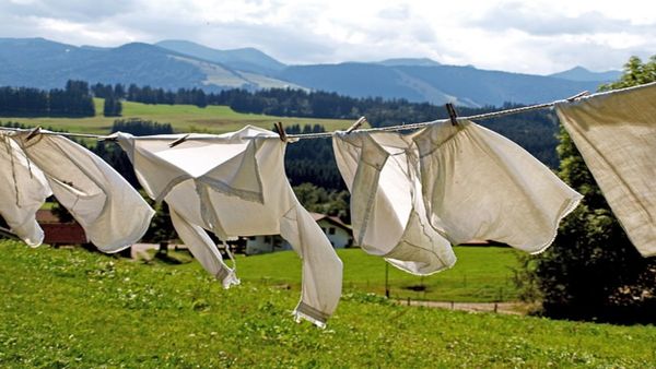 महीनों से चोरी हो रहे थे महिला के अंडरगारमेंट, सच सामने आया तो उड़ गए होश