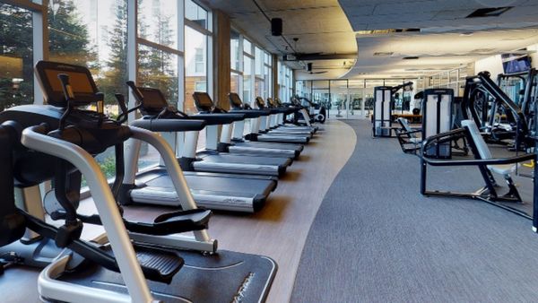 ट्रेडमिल में करंट दौड़ने से 24 वर्षीय लड़के की मौत ने मचाया हंगामा, दिल्ली जिम एसोसिएशन ने जारी की एडवाइजरी