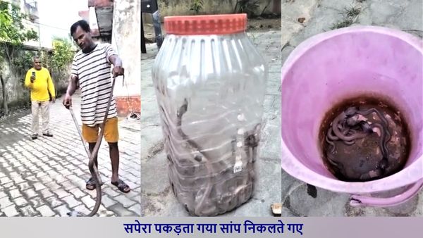 Sant Kabir Nagar: इस घर के किचन से निकले एक साथ 26 सांप, रेस्क्यू करने आए सपेरे के भी उड़ गए होश