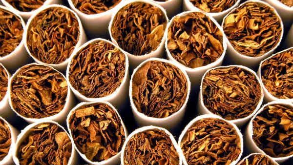 केंद्र ने आंध्र प्रदेश से अतिरिक्त FCV तंबाकू की बिक्री की अनुमति दी