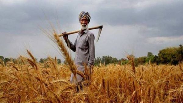 Andhra Pradesh: किसानों के लिए वरदान साबित हो रहीं कृषि परीक्षण प्रयोगशालाएं