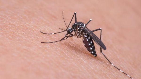 आंध्र प्रदेश: मौसमी बीमारियों से निपटने की तैयारी, स्वास्थ्य मंत्री ने दिए ये निर्देश