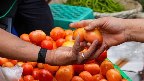 Free Tomato: इस ऑटो वाले ने निकाली गजब की स्कीम, मुफ्त दे रहा टमाटर, आप भी उठा सकते हैं ऐसे फायदा