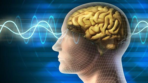 किशोर के मस्तिष्क में कैसे घुसा Amoeba? दुर्लभ संक्रमण ने ली जान, जानिए घातक बीमारी की वजह