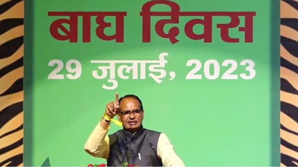 CM Shivraj ने बताया अफ्रीकन चीतों को 'गांधी सागर' में बसाने तेजी से काम चल रहा