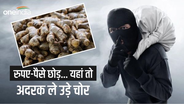 Basti News: ट्रक को हाईवे पर खड़ा कर खाना खाने गया ड्राइवर, चोरों ने उड़ा दी 50 बोरी अदरक