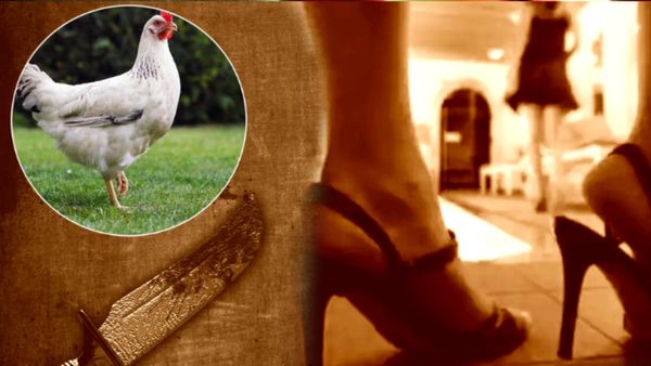 5 स्टार होटल में महिला ने बुना हनी ट्रैप का जाल, बिजनेसमैन से ऐंठे 3 करोड़, मुर्गे के खून ने दिया फाइल टच