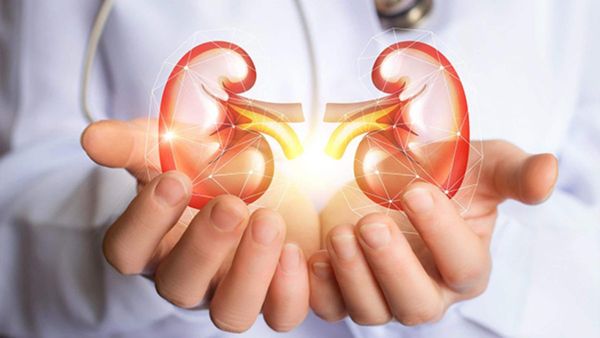 Kidney Transplant में डॉक्टरों का कमाल, नवजात के कारण 58 साल की महिला को मिला 'नया जीवन'