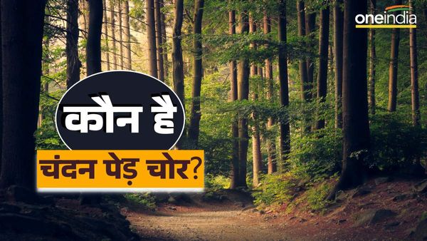 Jabalpur News: बेशकीमती चंदन के पेड़ काटकर ले गए तस्कर, जबलपुर के TFRI में घटना, पुलिस ने शुरू की जांच